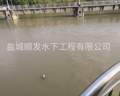 辽阳水下摄影